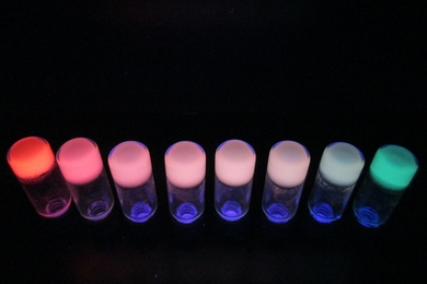 These fluorescent gels were synthesized by mixing a polymer (polyethylene glycol) and a ligand (terpyridine) with two lanthanides — europium and terbium — in varying ratios. 