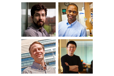 Clockwise from top left: MIT professors Ed Boyden, Jacquin Niles, Feng Zhang, and Matthew Vander Heiden have been named HHMI Faculty Scholars.