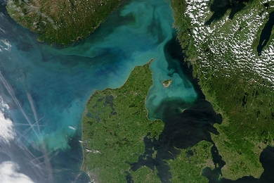 Phytoplankton bloom off Denmark in 2004 