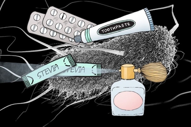 MIT spinout Manus Bio has created a low-cost process for engineering microbes with complex metabolic pathways borrowed from plants, which can produce an array of rare and expensive ingredients used to manufacture noncaloric beverages, perfumes, toothpastes, detergents, pesticides, and even therapeutics, among other products.
