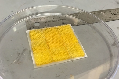 Nicholas Fang, an associate professor of mechanical engineering, won an MITEI Seed Fund grant to continue his research into developing efficient ceramic support structures for catalytic converters used in power plants and in the automotive industry. This photo shows a piece of 3-D-printed cellular ceramic substrate with 100-nm-thin walls that has exhibited excellent thermal conductance and mechani...