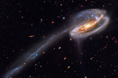 The Tadpole Galaxy, a disrupted spiral galaxy, shows streams of gas stripped by gravitational interaction with another galaxy. Molecular gas is the required ingredient to form stars in early universe galaxies. 