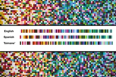 MIT researchers have found that languages tend to divide the "warm" part of the color spectrum into more color words than the "cooler" regions, which makes communication of warmer colors more consistent. From left to right, this chart shows the order of most to least efficiently communicated colors, in English, Spanish, and Tsimane' languages.
