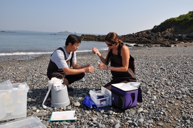 Postdoc Kathryn Kauffman and former guest researcher Aidong Ruan process ocean water samples at Canoe Cove in Nahant, Massachusetts. The researchers were observing how microbial communities change over time in a particular location. 