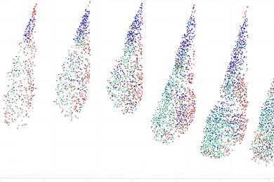 Various 3-D views of the basolateral amygdala show the arrangement of neurons that project to the nucleus accumbens (green), the hippocampus (blue), or the central amygdala (red).