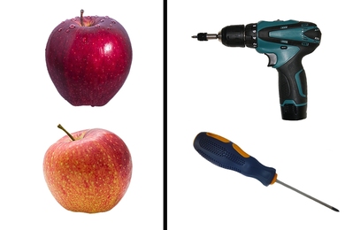 Sometimes items can easily be grouped by their appearance, such as these apples, but sometimes the brain must use a different mode of thought to find a more abstract similarity, such as that between a drill and screwdriver.