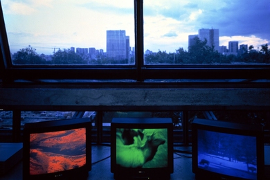 Diana Thater: "Snake River, 1994" (Three video monitors, three media players, digital files, 30 minutes each)