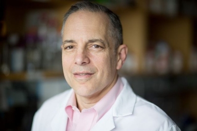 The T.5 Capacity in Medical Devices Program is co-led by Institute for Medical Engineering and Science (IMES) Director Elazer R. Edelman.