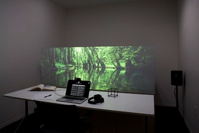An atmospheric scene, called "Forest," with video from thesilentwatcher.com, is part of the Mediated Atmospheres project by Nan Zhao.