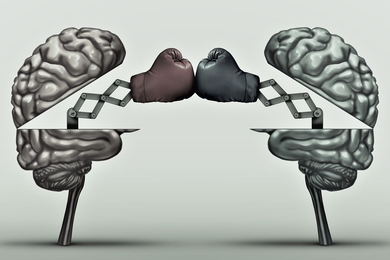 Neuroscientists are debating the nature and meaning of neural activity during the critical moment of working memory when people must hold information in mind.