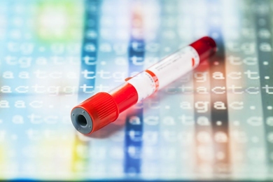 MIT researchers have developed a cryptographic system that could help neural networks identify promising drug candidates in massive pharmacological datasets while keeping the data private, which could enable broader pooling of sensitive pharmacological data for predictive drug discovery.