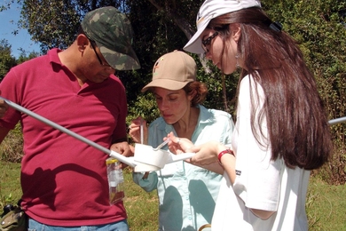 Researchers test the paper diagnostic.