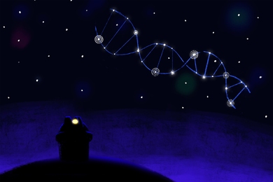 The common model of gene regulation imagines the nucleus of the cell as a large space in which molecules involved in DNA transcription float around seemingly at random.