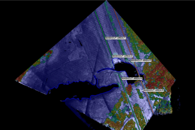This lidar image shows how lake water has spilled over and washed out several large sections of roadway and train tracks in Boiling Spring Lakes, North Carolina.