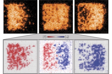 Atoms are like small magnets, so applying a magnetic force pushes them around, here, to the left (top left). Since these atoms repel each other, they cannot move if there are no empty sites (top middle). But the atomic “magnetic needles” are still free to move, with stronger magnets (red) diffusing to the left in the image, and weaker magnets (blue) having to make room and move to the right (b...
