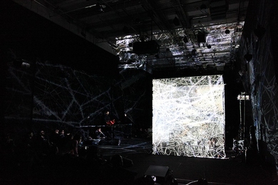 “'Spider’s Canvas' is truly the most collaborative project I’ve ever been involved in. It’s not just interdisciplinary but literally interspecies,” says Professor Evan Ziporyn.