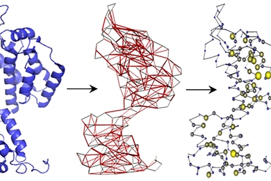 Structure-based network analysis transforms HIV proteins into networks used to identify T cell targets resistant to mutation. 