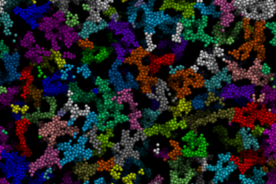 Confocal micrograph of fluorescently labeled polymeric colloids forming a model colloidal gel