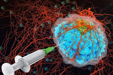 A new technique prevents cell-killing proteins called cytokines from escaping once they have been injected into a tumor.