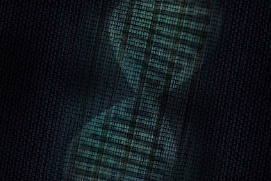 With the IdPrism platform, algorithms encode genetic markers as bits to allow for fast DNA comparisons in forensics. “When Hollywood finds out about this, they’re going to change their scripts,” says Darrell Ricke of the Bioengineering Systems and Technologies Group. “The capabilities are so different from what’s out there.”