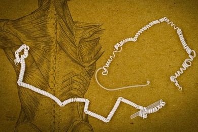 The tiny coils in the fiber developed by MIT researchers curl even tighter when warmed up. This causes the fiber to contract, much like a muscle fiber.