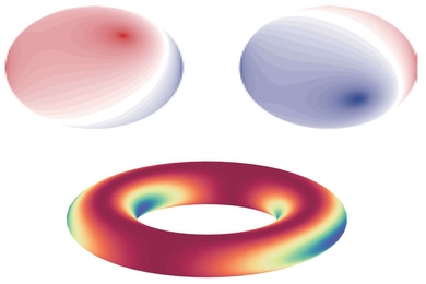 Images showing interference patterns (top) and a Wilson loop (bottom) were produced by the researchers to confirm the presence of non-Abelian gauge fields created in the research.