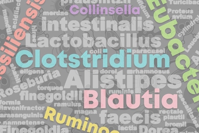 MIT researchers have collected and preserved samples of nearly 8,000 strains of bacteria found in the human digestive tract.