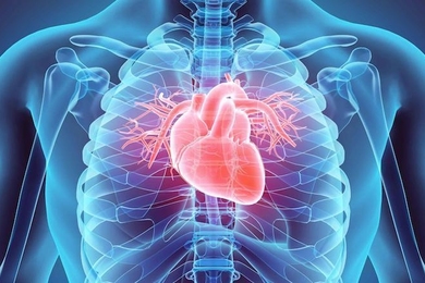 Using just the first 15 minutes of a patient's electrocardiogram (ECG) signal, an MIT system produces a score that places patients into different risk categories. 