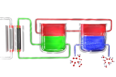 In a new method to produce hydrogen peroxide portably, an electrolyzer (left) splits water into hydrogen and oxygen. The hydrogen atoms initially form in an electrolyte material (green), which transfers them to a mediator material (red), which then carries them to a separate unit where the mediator comes in contact with oxygen-rich water (blue), where the hydrogen combines with it to form hydrogen...