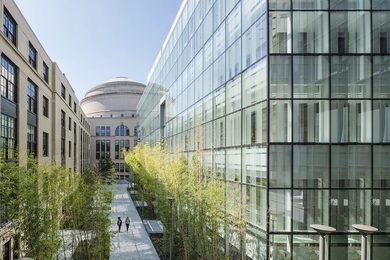 The section of the MIT.nano courtyard that runs along the south side of the building has been named the Improbability Walk, in honor of Mildred Dresselhaus.