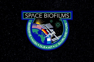 NASA’s official mission patch for the upcoming space biofilms experiment, developed at MIT and the University of Colorado, which is scheduled to be sent to the International Space Station.