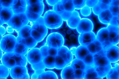 MIT research finds the emergence of cooperative cell clusters depends on cells encountering each other and aggregating on the surface of polysaccharide particles.