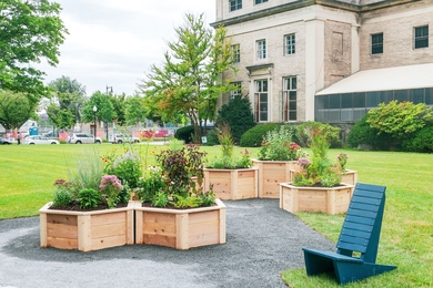 The Hive Garden, a first-of-its-kind pollinator garden at MIT, recently opened on Saxon Lawn.