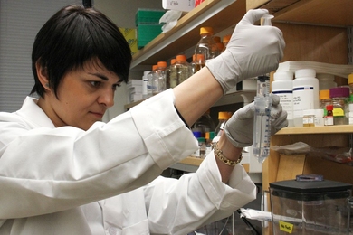 Christopher Voigt and Eszter Majer (pictured) collaborated with chloroplast and mitochondria experts from the Max Planck Institute of Molecular Plant Physiology in Germany and the Polytechnic University of Madrid, Spain, during their seed grant period, collaborations that were made possible by J-WAFS seed grants.