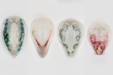A series of masks 3D printed by the Media Lab's Mediated Matter group contained chemical signals embedded in the material. A layer containing living engineered bacteria was coated onto the masks, and the bacteria produced colors only in those areas that had been treated with the chemical signals.