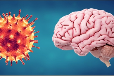 Mounting evidence suggests that the SARS-CoV-2 virus affects the brain, as well as the lungs.