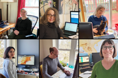 Library staffers (clockwise from top left) Sue Kriegsman, Carol Schweigert, Felicity Walsh, Kari Smith, Matt Bernhardt, and Jennie Murack help keep library services running from their home offices.