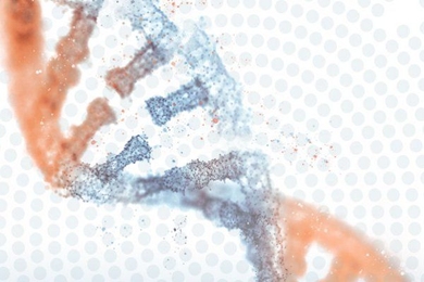 Over 100 experts participated in Trust CoLab, an innovative online exercise that developed a set of alternative scenarios about the future of medicine and health care. The exercise identified one potential development that quickly became quite salient: the prospect of global pandemic leading to drastic changes in health care practices.