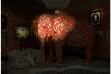 An MIT study shows viewers’ attention shifts the longer they gaze at an image. Given just a half-second to look at the photo at left, in online experiments, they focused on the elephant, as shown in this heat map. 