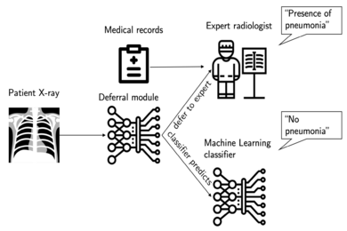 The system either queries the expert to diagnose the patient based on their X-ray and medical records, or looks at the X-ray to make the diagnosis itself.