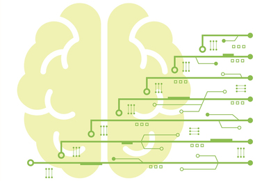 Computing power and the brain