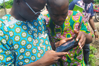 farmers using sourcetrace