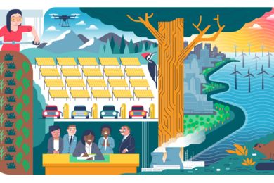 Illustration featuring an engineer, a diverse group of decisionmakers, a woodpecker in a tree, solar panels, farm lands, offshore wind turbines, nuclear reactors, and more.