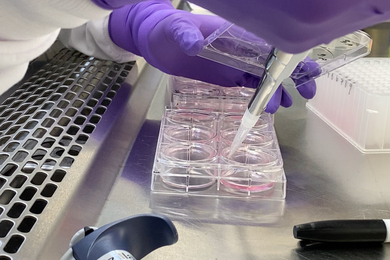 researcher analyzing samples