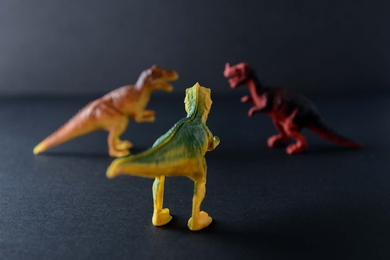 Three plastic toy dinosaur face inward in a circle