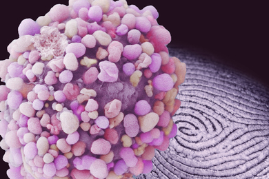 tissue with fingerprint graphic