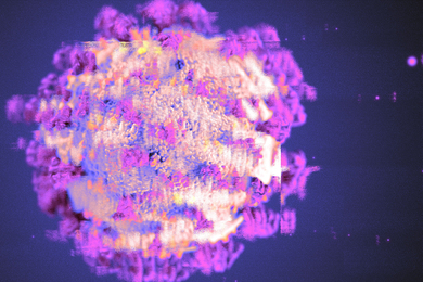 SARS-CoV-2 spike protein