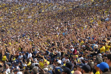 Photo of a crowd full of stadium fans in which a column of people are all standing with their arms raised