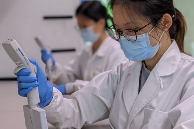 Photo of two researchers in white lab coats setting up assays for measuring the levels of gut bacteria Ruminococcaceae in a stool sample.”