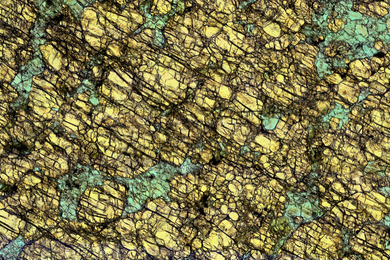 lower arc crustal rock